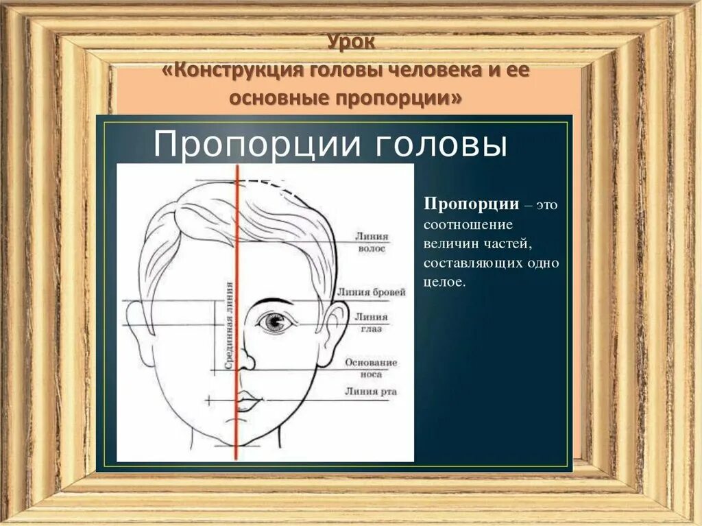 Описание головы человека