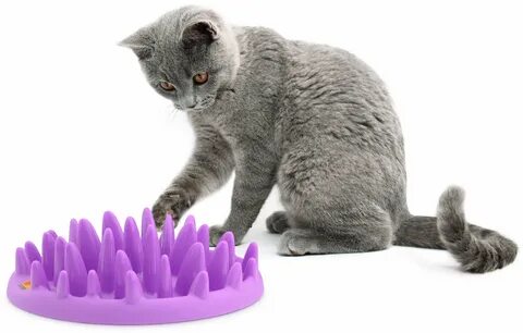 Приманка для кота