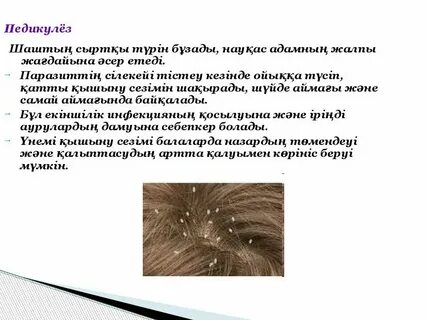Езд вший