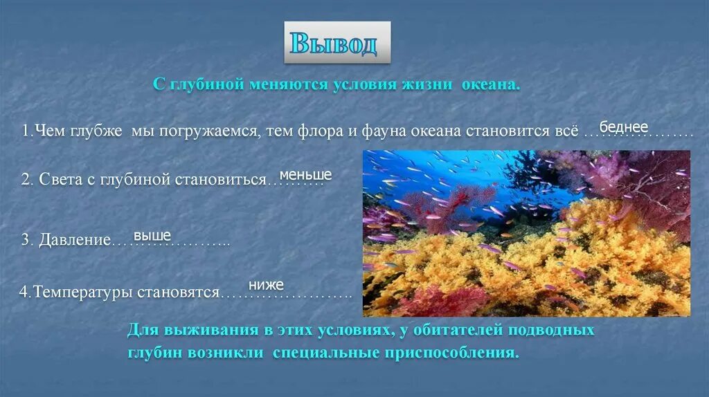 Сообщение жизнь в океане 6 класс. Сообщение жизнь в океане. Жизнь в океане доклад 6 класс. Сообщение на тему жизнь в океане.