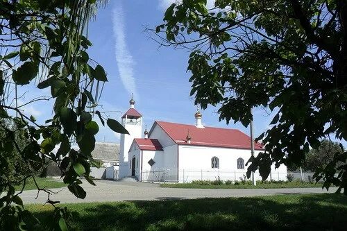 Станица журавская краснодарский край. Ст Журавская Краснодарский край. Станица Журавская храм. Журавская станица станица Краснодарский край. Станица Журавская Кореновского района Краснодарского края.