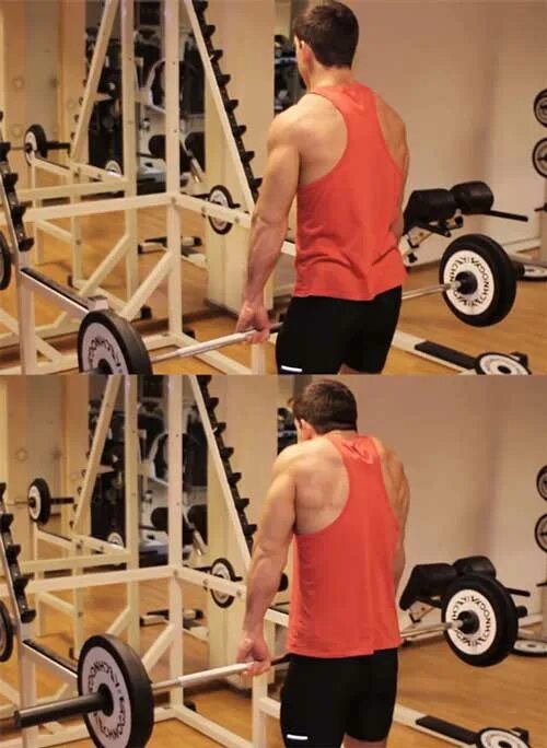 Трапеция мышца упражнения. Шраги (трапеции) со штангой стоя. Шраги джефферсона. Прокачка спины шраги. Упражнения с гантелями на плечи суперсет.