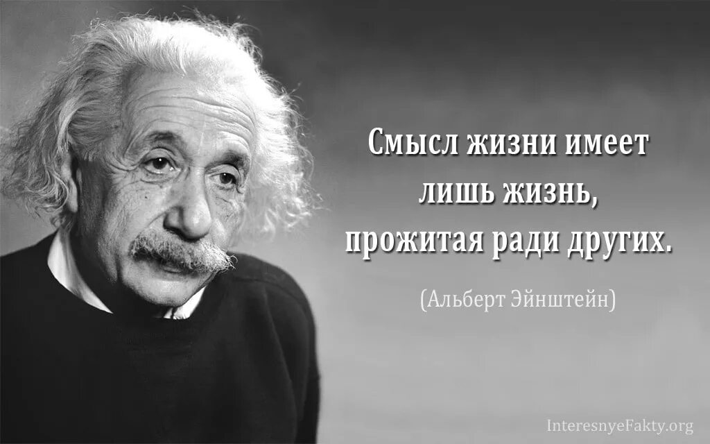 Смысл в жизни в состоянии. Эйнштейн цитаты.