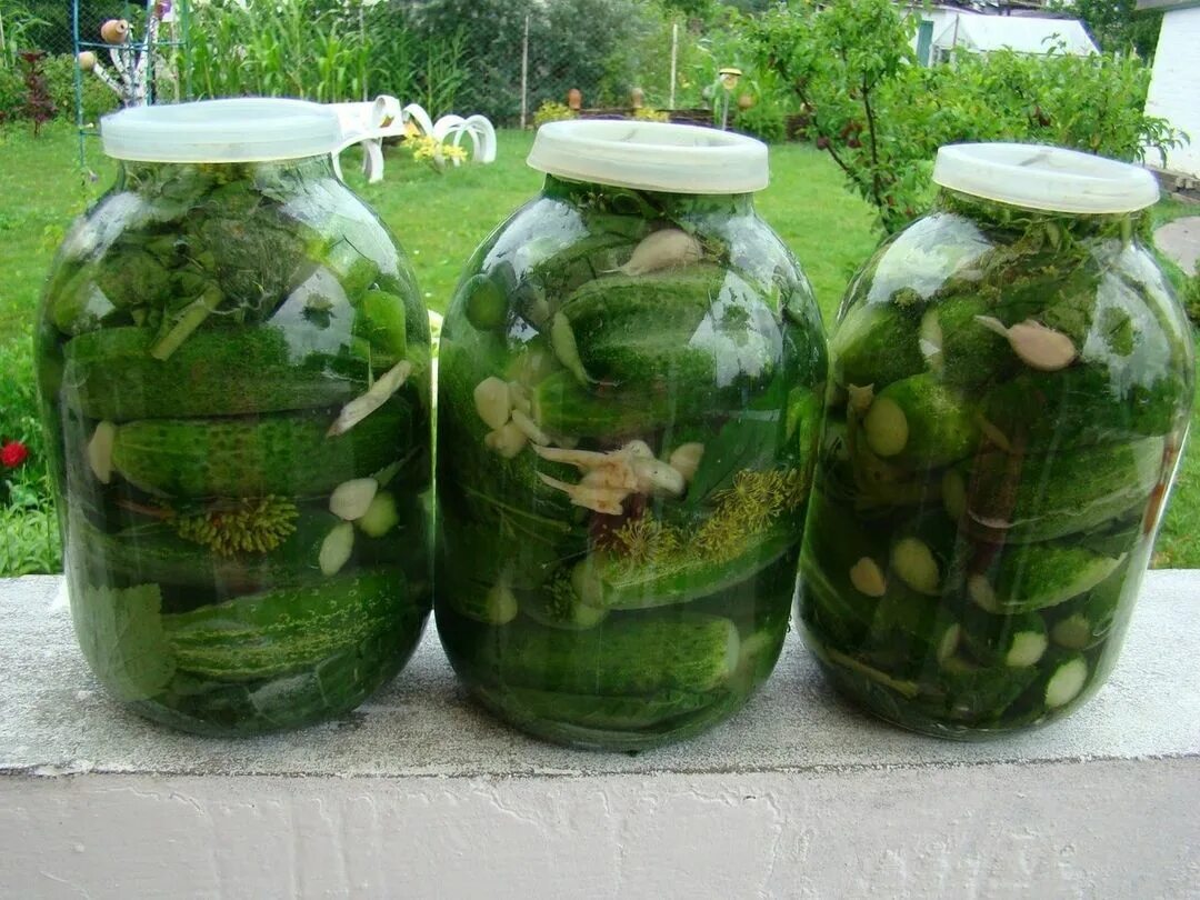 огурцы 2 х литровых банок. огурцы 2 х литровых банок. советские консервированные огурцы. огурцы в банках. огурцы на зиму без стерилизации.