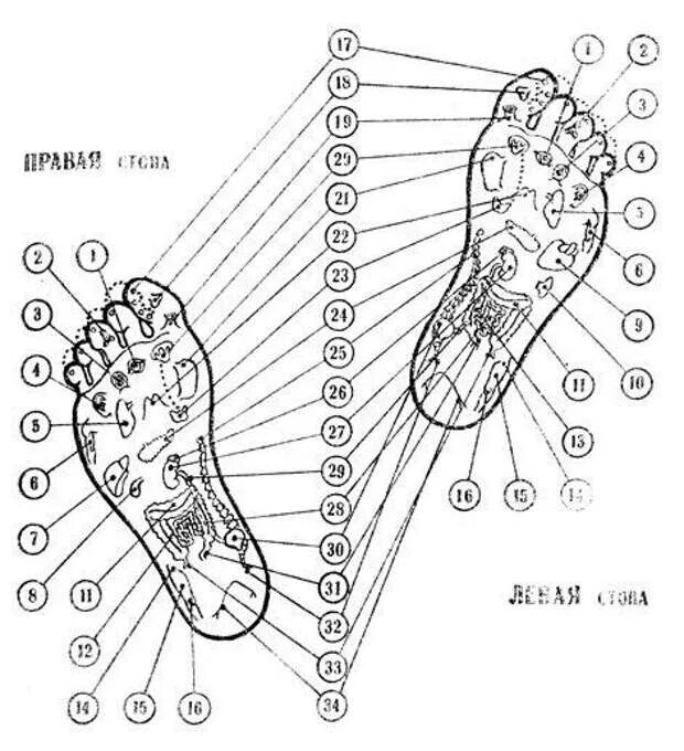 Точки на подошве ног. Точечный массаж ступней ног схема. Схема акупунктурных точек на стопе. Активные точки на стопе.