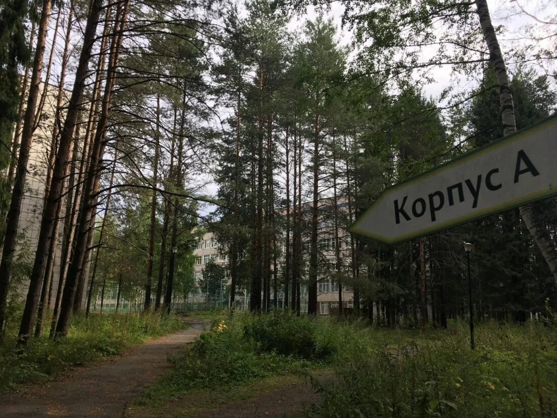 Комплекс ппи пермь