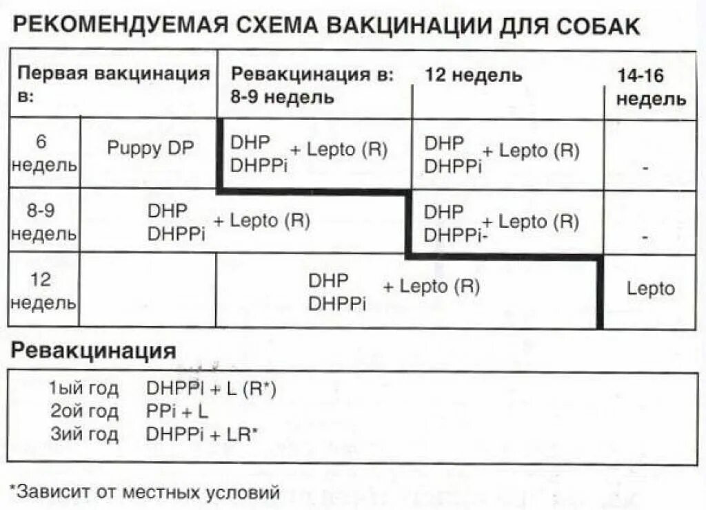 В каком возрасте делают прививку от бешенства. Схема вакцинации щенков нобиваком. Схема прививок Нобивак для собак. Схема вакцинации Нобивак. Схема прививок Nobivac для щенков.