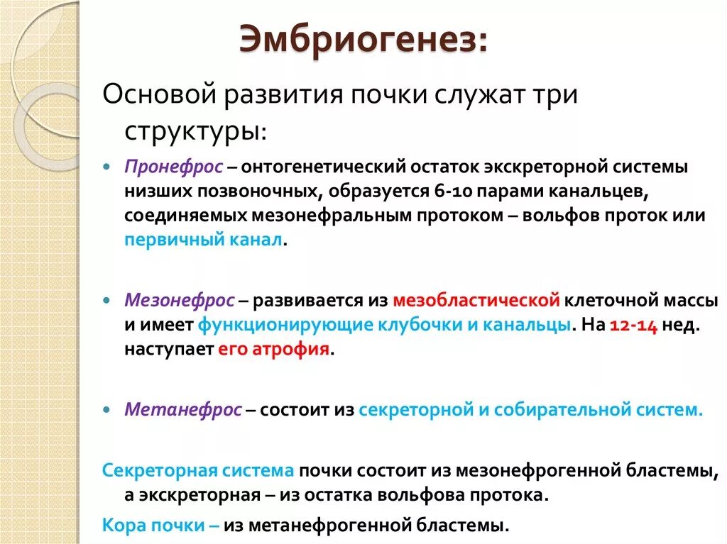 Формирование почки в эмбриогенезе. Эмбриональное развитие почки. Этапы развития почки. Источник развития почки.