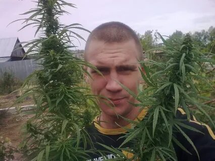 Сокрытый легион усачева