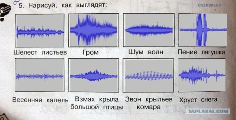 Звон крыльев. Нарисуй как выглядит Шелест листьев Гром шум. Нарисуй как выглядит Шелест листьев. Нарисуй как выглядеть Шелест листьев, Гром, шум волн. Как выглядит звук.