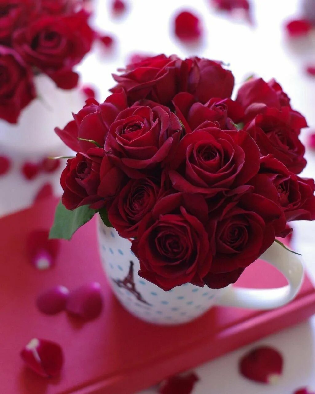 Открытки розы красивые с добрым утром. Букет цветов для любимой. Красивые букеты с добрым утром. Девушка с букетом роз. Букет цветов для любимой женщины.