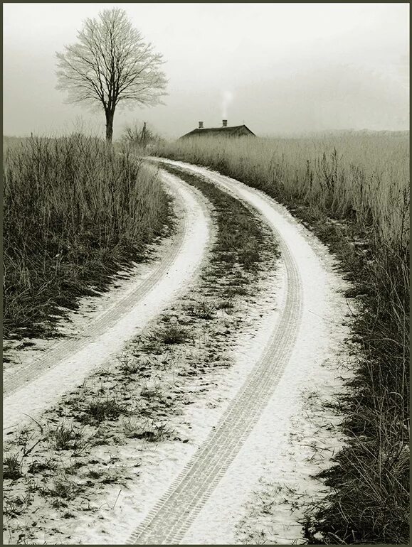 Забытая дорога домой. Дорога домой. Дорога домой фотографии. Аватарка дорога. Пейзаж дорога домой.