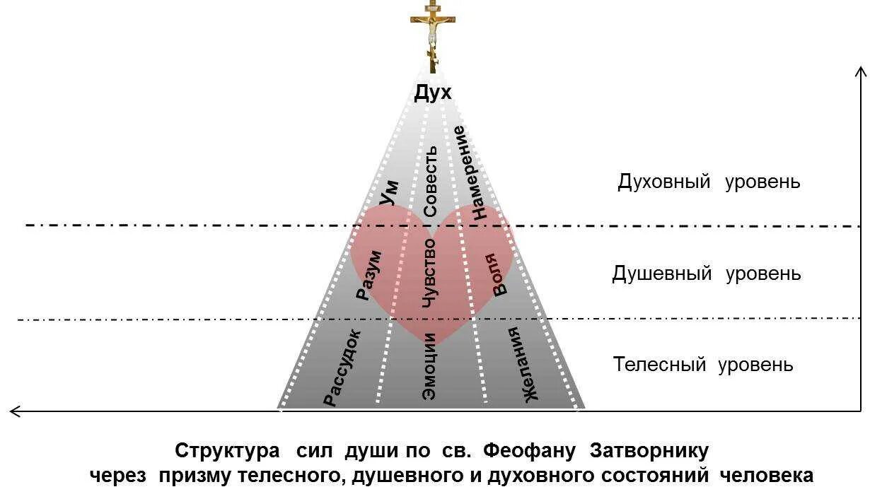 Духовный насколько. Структура души. Духовные уровни человека. Структура души человека. Ступени развития души.