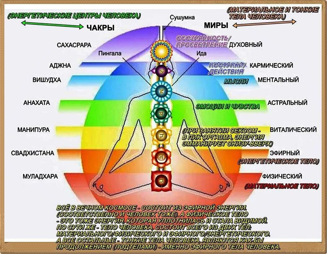 Духовный карм. Чакры энергетические центры тонких тел. Астральное тело человека астральное тело человека. Тонкие тела человека. Тонкие тела и чакры.