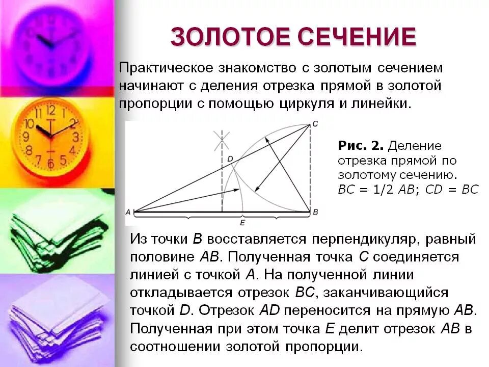 Золотое сечение чему равно фото - DelaDom.ru