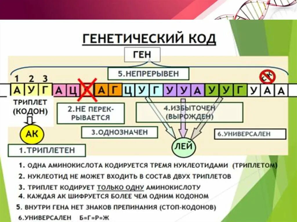 Ген генетический код. Генетический код однозначен. Генетический код ген геном. Ген генетический код триплет. Ген паролей