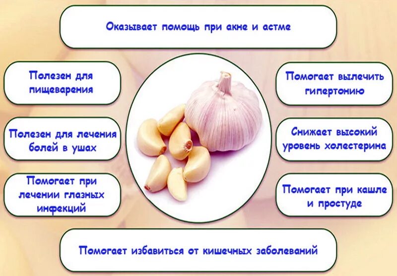 Как правильно принимать чеснок. Чем полезен чеснок. Чем полезен чеснок для человека. Полезен чеснок для.организма. Полезные свойства у честнок.