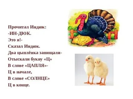 Текст индюки