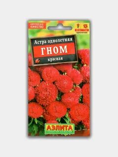 Astra gnome