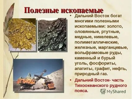 Полезные ископаемые какая промышленность