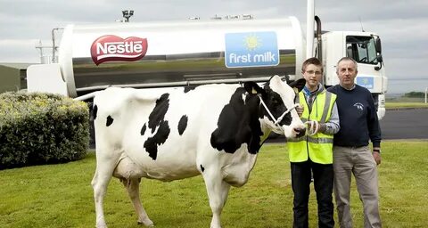 Milking farm