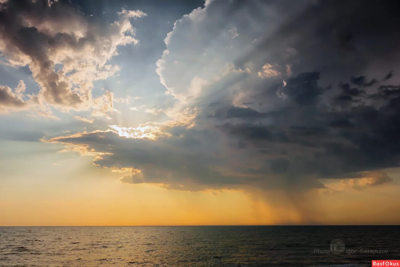 облако закрыло солнце корни