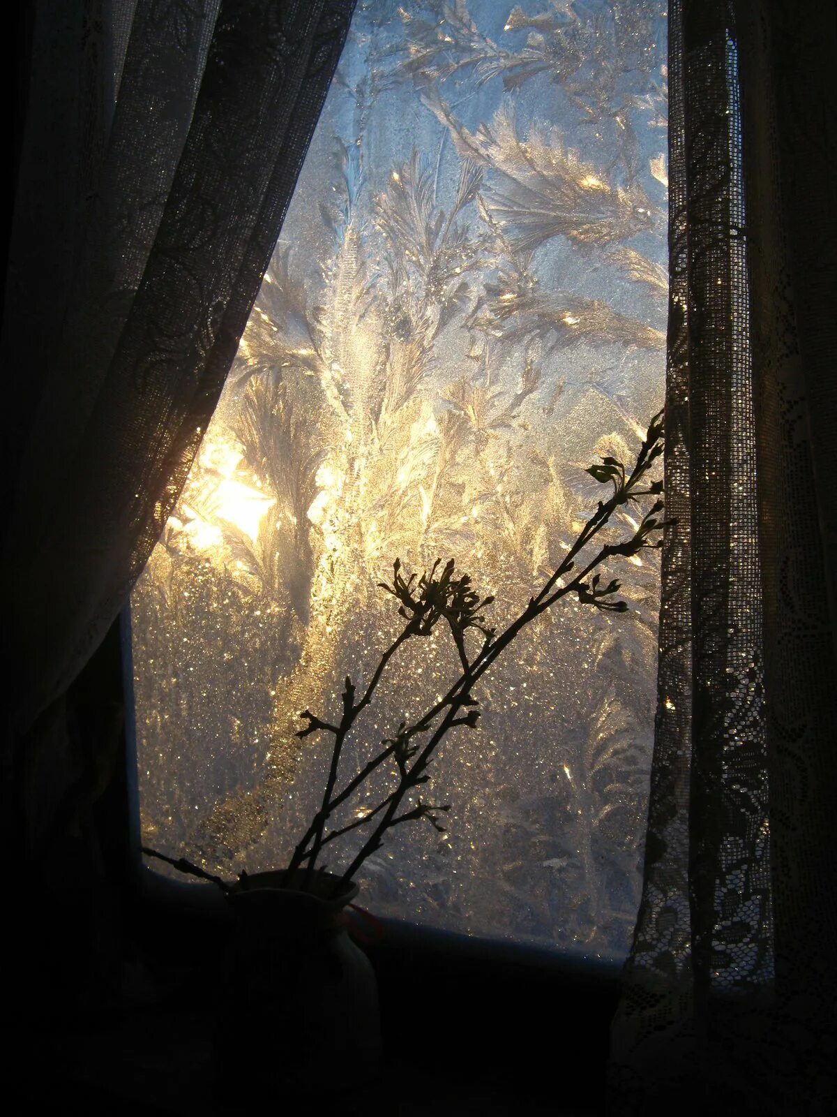 Синий вечер заглянул в мое окно. Окно зима. Зимнее окно. Снег за окном. Зима за окном фото.