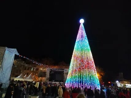 Елки севастополь