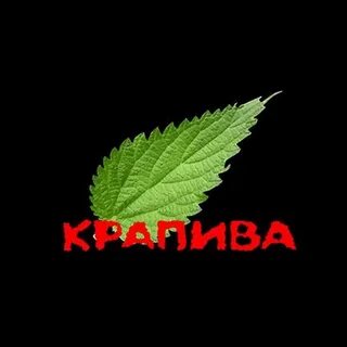 Бить крапивой