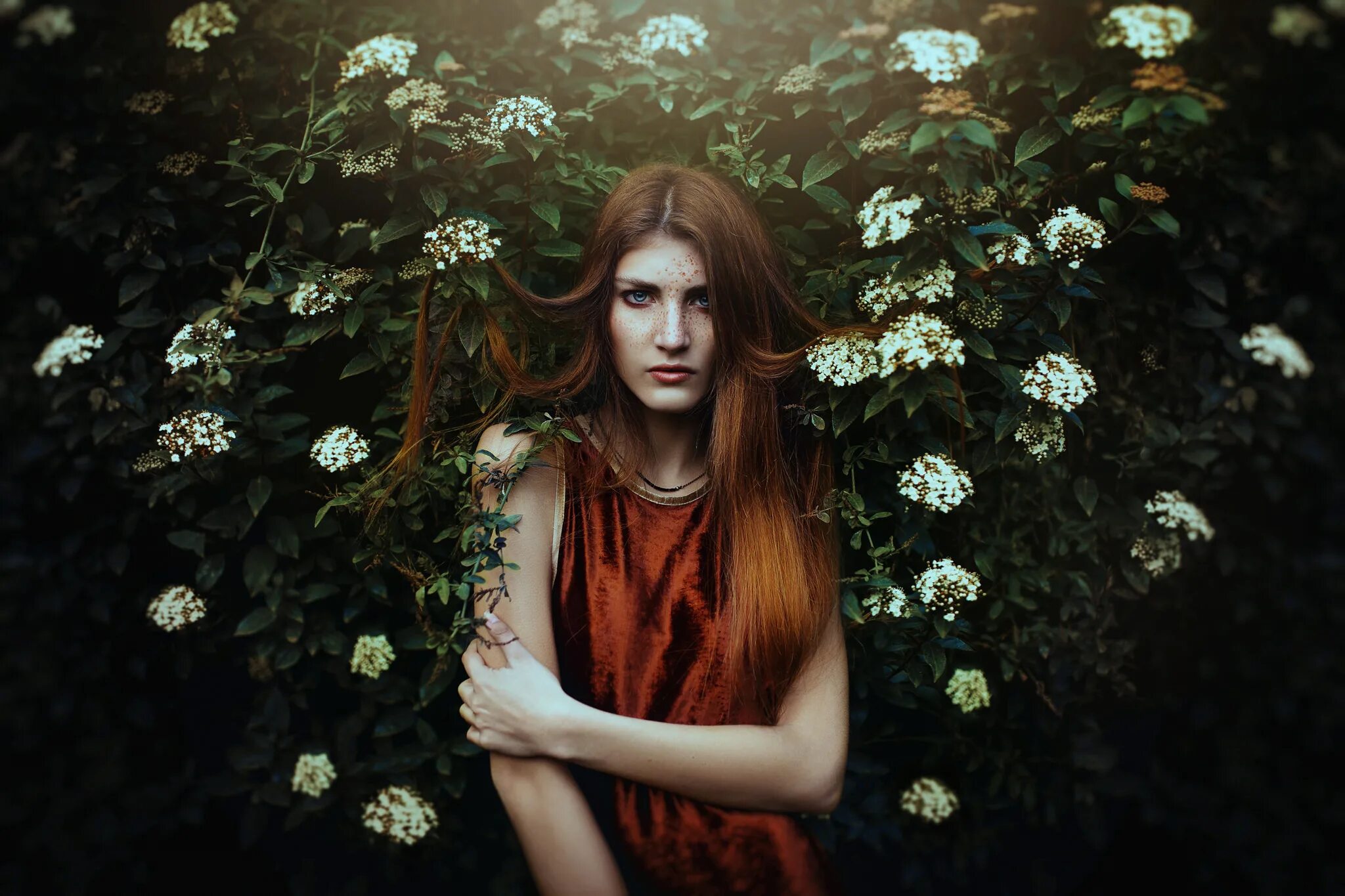 Девушка с сиренью. Девушка лицо растение. Весенние фотосессии на природе. Фотосессия в кустах. Взгляд куст.