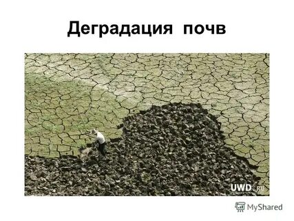 Загрязнения и деградация почвы