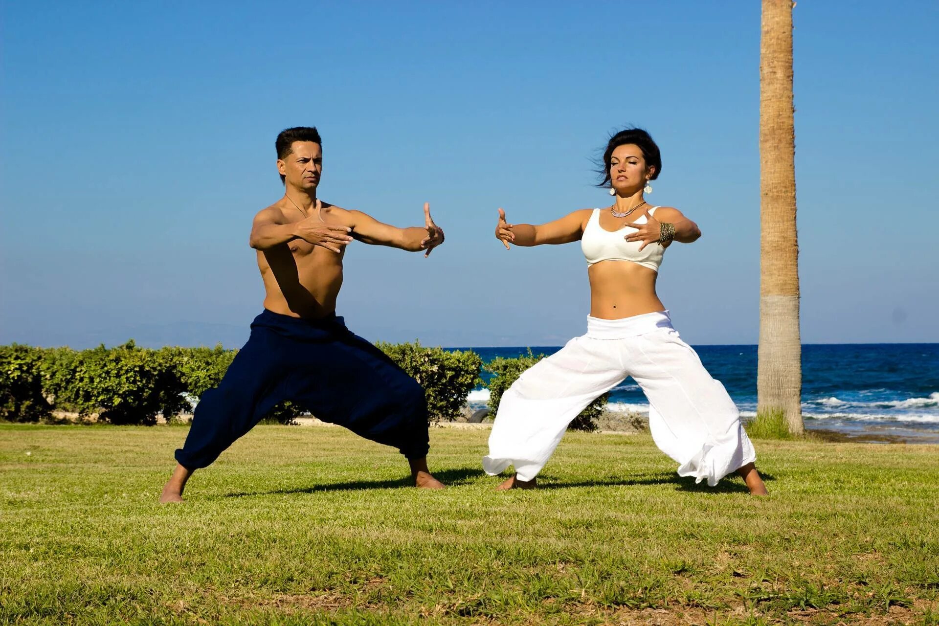 Боевые искусства айкидо. Боевые искусства японии дзюдо. Тай цзи гимнастика. Боевые искусства. Суть восточных единоборств.