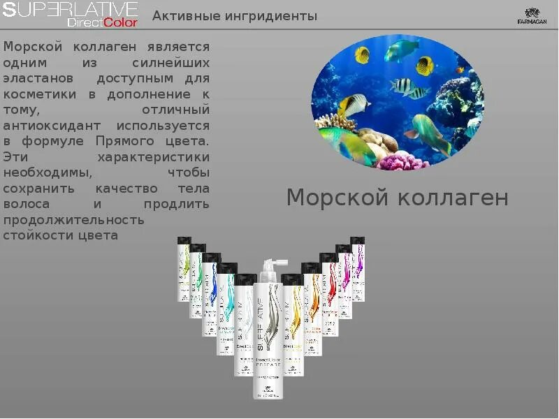 Мир цвета программа. Презентация на тему мир цвета. сообщение на тему &quot; цвета мира&quot;. формулы цветовые farmagan.
