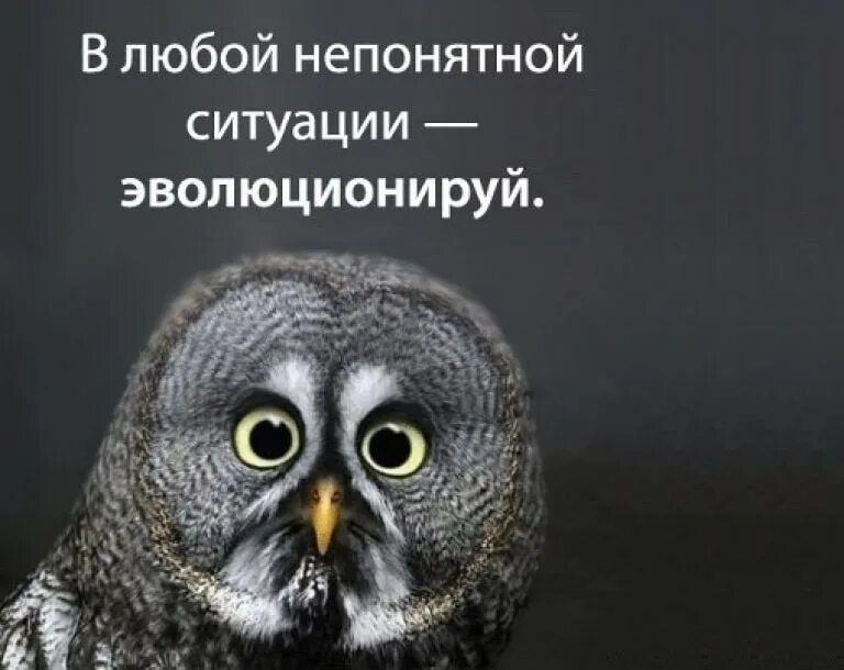 По непонятным мне причинам
