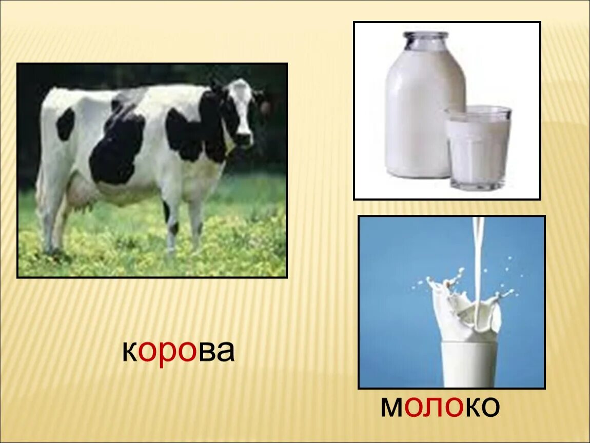 Молоко полученное от коровы 5. Корова молоко. Корова дает молоко. Ребенок с молоком, корова. Молоко молоко молоко корова.