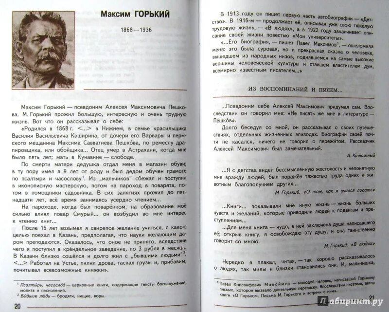 Литература 7 класс стр 219
