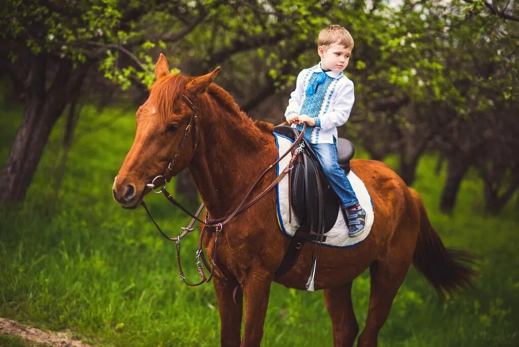 мальчик катается на лошади. дети ездят на лошадях. дети ездят на лошадях. дети ездят на лошадях. лошадь для детей.