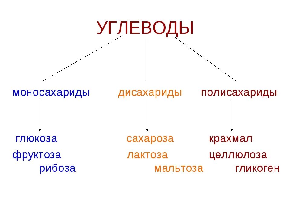 Что относится к полным данным. Моносахариды дисахариды полисахариды. Моносахариды и полисахариды таблица. Примеры моносахаридов дисахаридов и полисахаридов. Моносахариды полисахариды дисахариды вещества.