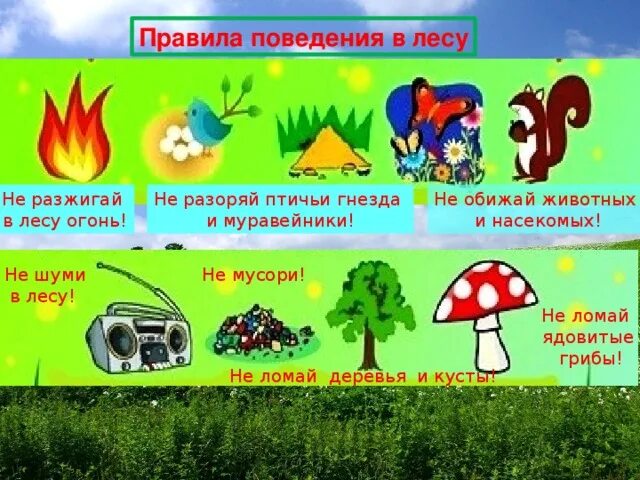 Проект безопасность на природе для 6 класса Памятка на майские праздники для родителей школьников