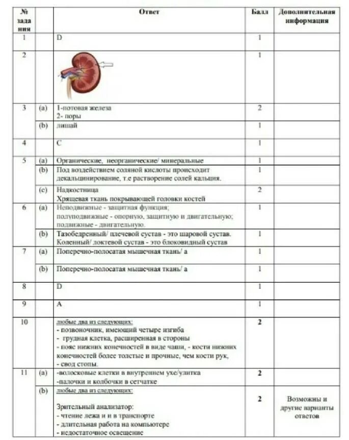 Соч по биологии