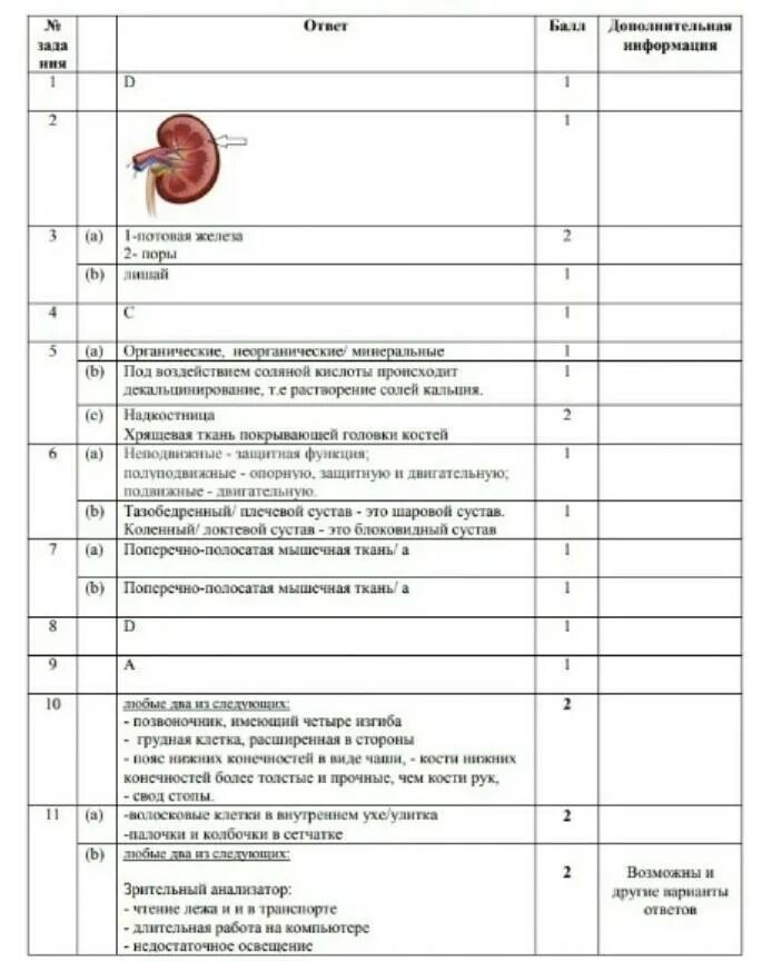 Сор биология 10 класс 3 четверть. Биология 8 класс 3 четверть. Соч по биологии 9 класс Министерство. Биотехнология сор 2, 3 четверть биология 11 класс. Соч по биологии 8