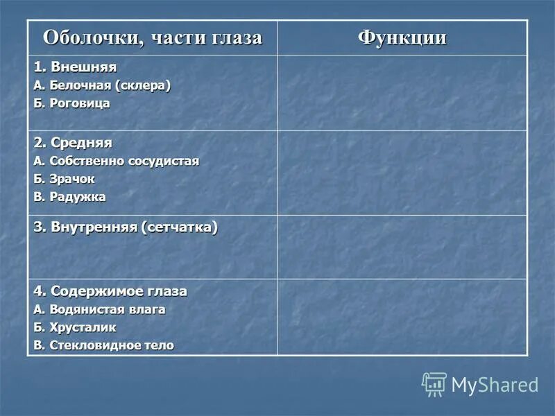 Белочная оболочка строение и функции. Строение белочной оболочки глаза. Белочная оболочка функции. Строение белочной оболочки глаза. Функции склеры глаза.