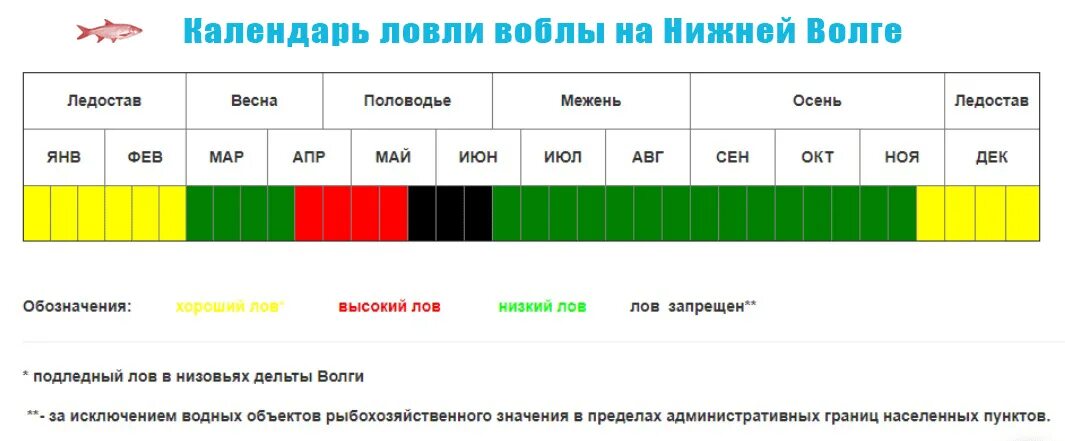 Прогноз клева астраханская область. Календарь ловли Астрахань. Календарь когда вобла ловится. Запрет лова Астрахань. Календарь рыбака когда клюет.