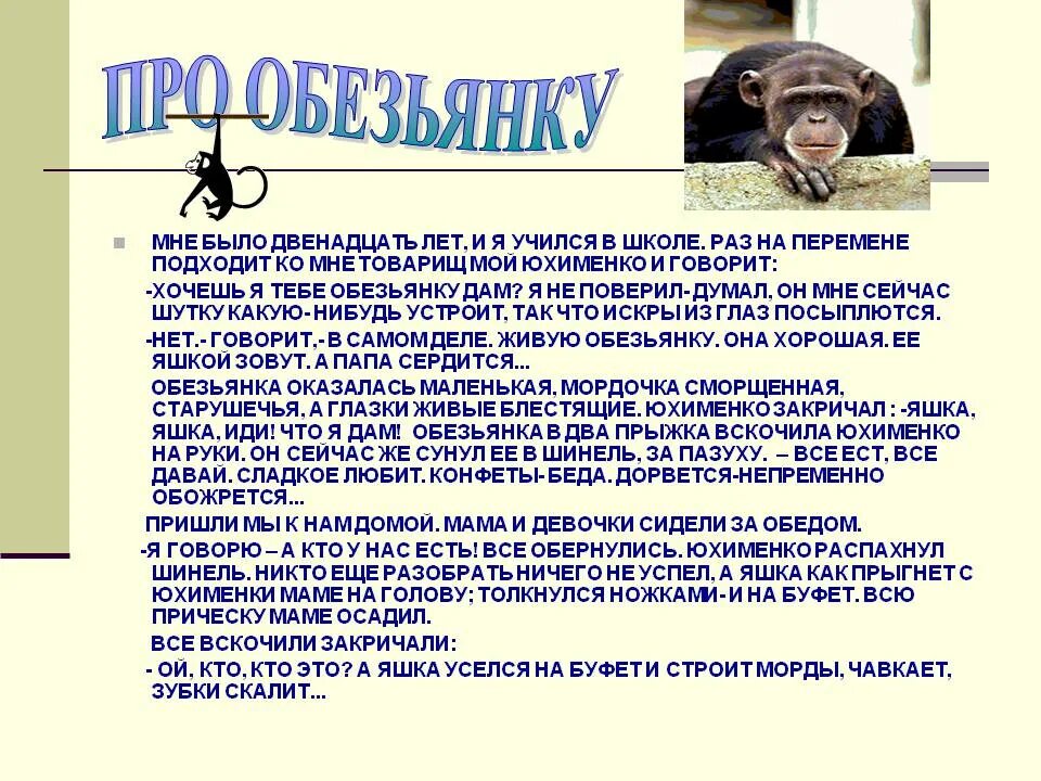 Сочинение про обезьянку. Сочинение про обезьяну. Пересказ рассказа про обезьянку. История про обезьянку. Как произошло знакомство мальчика с яшкой