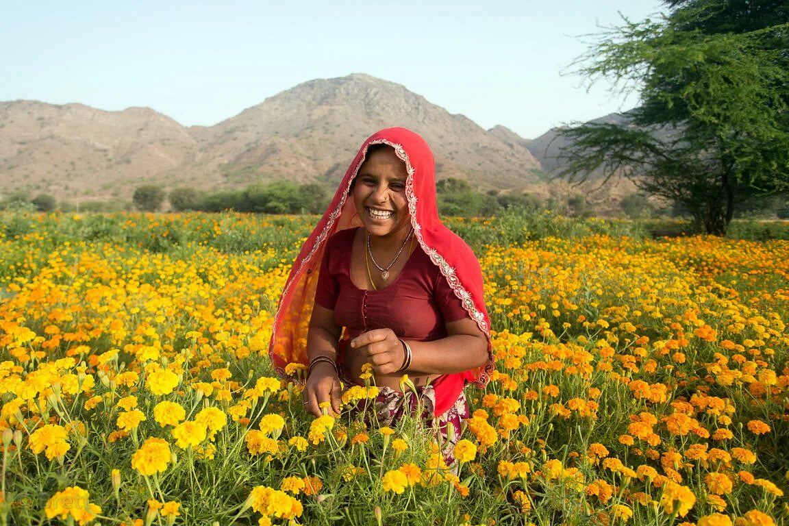 Индийская женщина летом. Индия женщина 50 лет. Женщина в деревне. Деревни в Раджастане. Village women