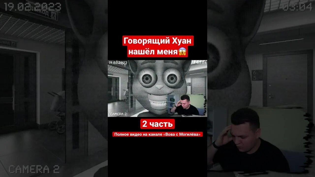 Говорящий кот хуан. Хуан говорит. Хуан говорит. Говорящий хуан игра. Хуан игра кот говорящий.