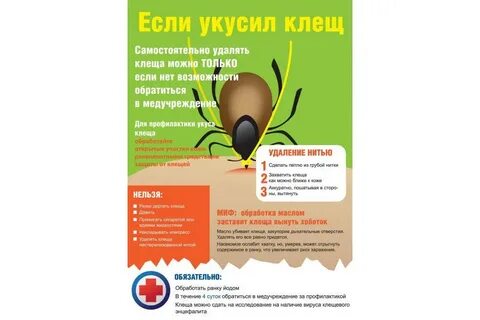Лечение после клеща