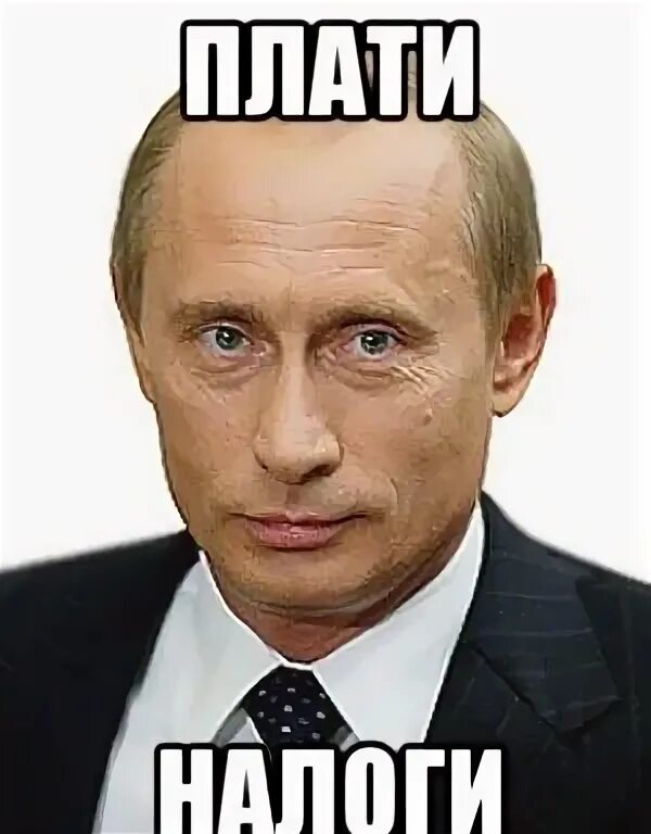 Обои плати налог. Запалти налог и спи спркйно. А ты заплатил налоги. Запти налоги и спи спокойно. Мемы про налоги.