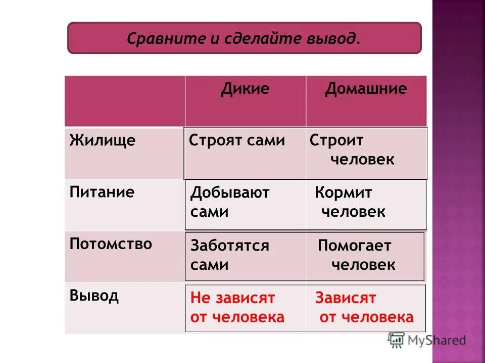 потомок вывести. дикие и домашние животные сравнение. жилище питание потомство вывод. вывод про диких животных. таблица описание животного питание жилище.