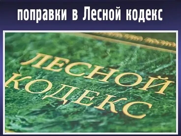Внесение изменений в лесной кодекс 2025. Лесной кодекс. лесной кодекс 1997. земельный и лесной кодексы.